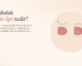 Çift Dudak (Duble Lip) Nedir?